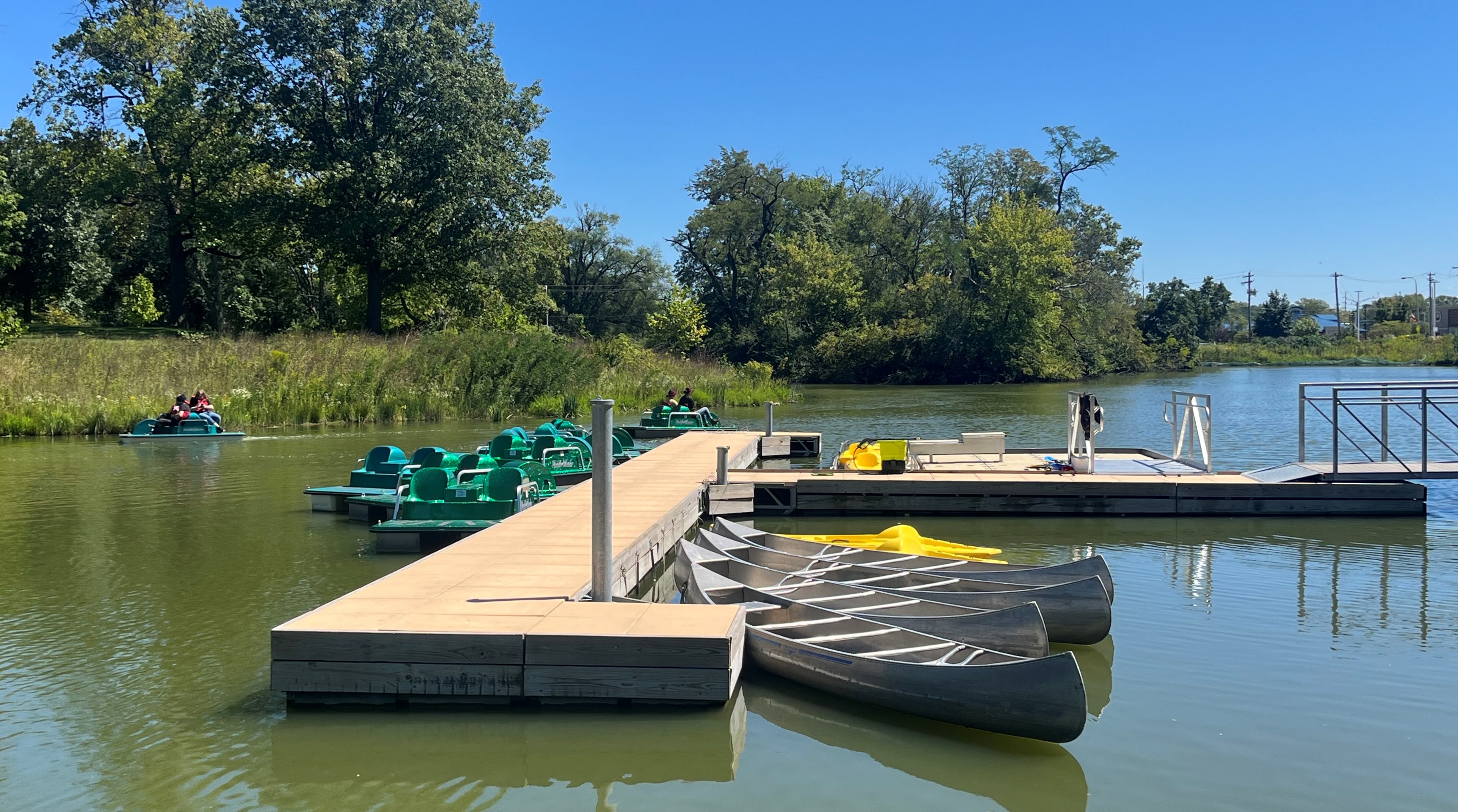 Interpolate start reference image.