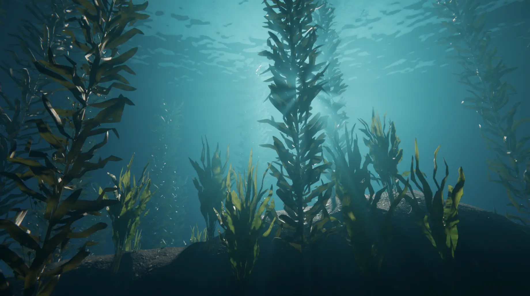 Interpolation end reference image.